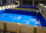 Budidaya Ikan Dalam Kolam Terpal