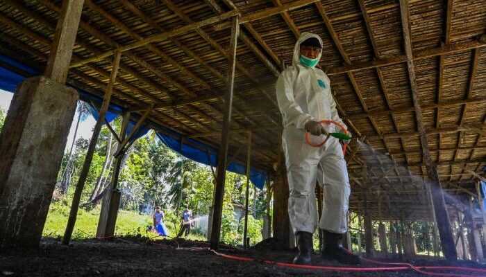 Tips Mencegah Penyakit Menular Di Kandang Unggas