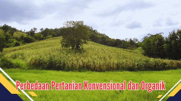 Unggas kementan produk ekspor peternakan tahun naik republika pkh kesehatan jenderal hewan kementerian direktur dirjen Unggas kementan produk ekspor peternakan tahun naik republika pkh kesehatan jenderal hewan kementerian direktur dirjen