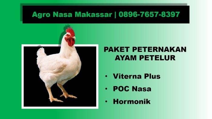 Diagnosa defisiensi vitamin pada ayam petelur