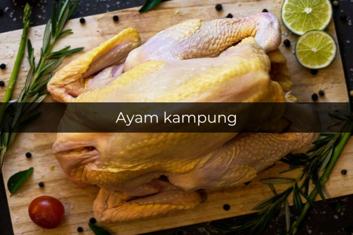 Perbandingan ayam broiler dan kampung