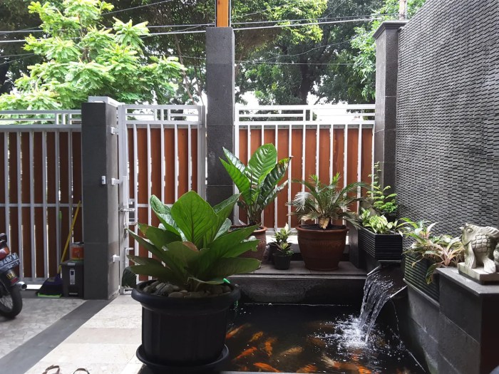Cara membuat kolam ikan sederhana