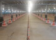 Bisnis Ayam Broiler Rumahan