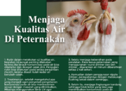 Alat Monitoring Konsumsi Pakan Ayam Petelur