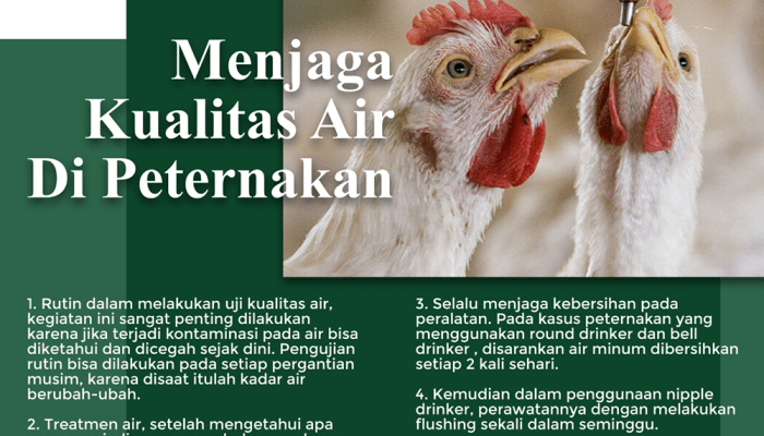 Alat Monitoring Konsumsi Pakan Ayam Petelur