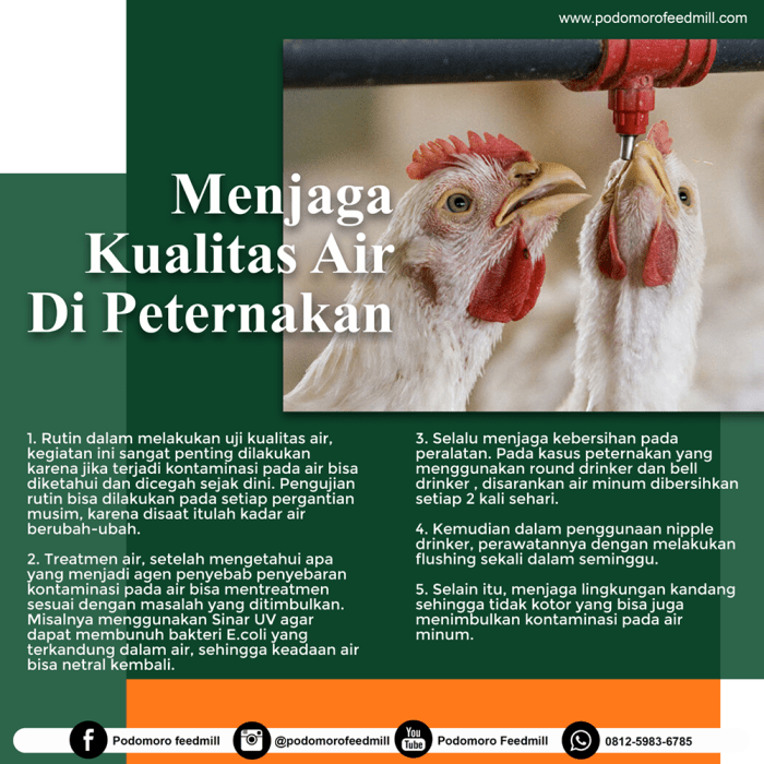 Alat monitoring konsumsi pakan ayam petelur
