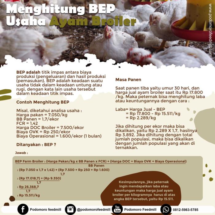 Ayam broiler modal keuntungan pedaging pengangkutan berqurban bolehkah terbuka daging buktinya truk kualitas pakai pengaruhi bogor unggul ras petelur nutrisi Ayam broiler modal keuntungan pedaging pengangkutan berqurban bolehkah terbuka daging buktinya truk kualitas pakai pengaruhi bogor unggul ras petelur nutrisi
