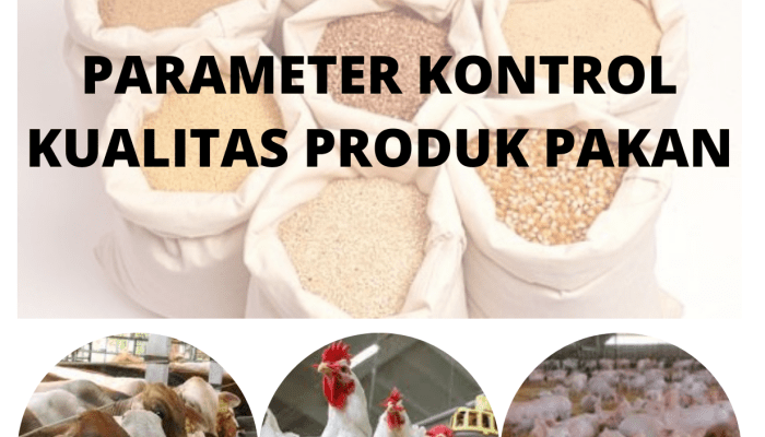 Kualitas Pakan Dan Hubunganya Dengan Penyakit