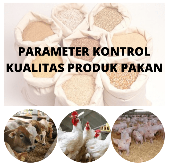 Kualitas Pakan dan Hubunganya dengan Penyakit