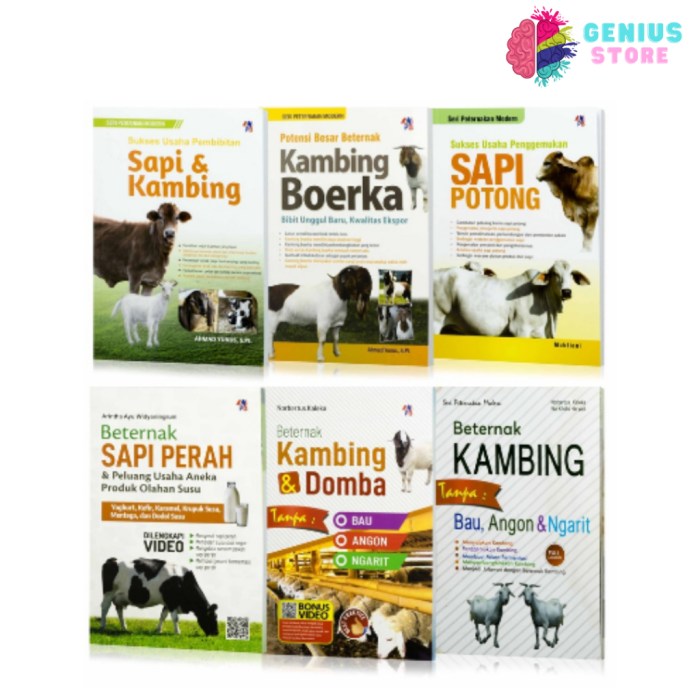 Strategi sukses usaha peternakan kambing