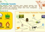 Model Bisnis Pertanian Dan Peternakan Berbasis Industri