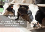 Sistem Pencatatan Digital Dalam Manajemen Peternakan
