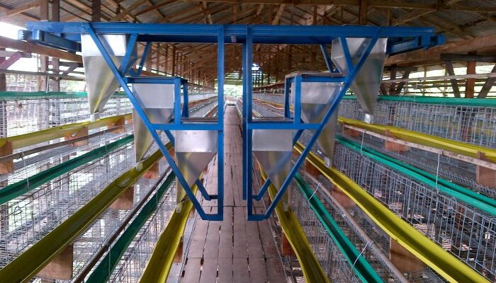 Sistem Digital Pemantau Pakan Ayam Petelur
