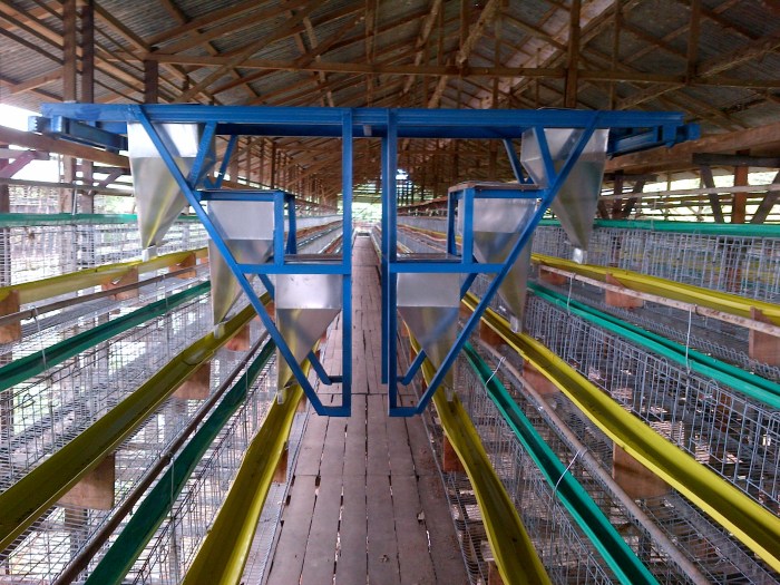 Sistem digital pemantau pakan ayam petelur