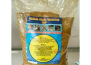 Obat Herbal Untuk Meningkatkan Daya Tahan Unggas
