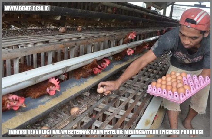 Strategi meningkatkan profit ternak ayam petelur