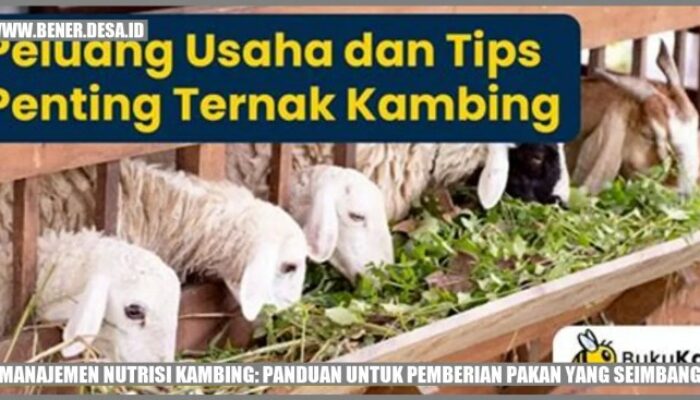 Manajemen Pakan Untuk Mencegah Defisiensi Vitamin