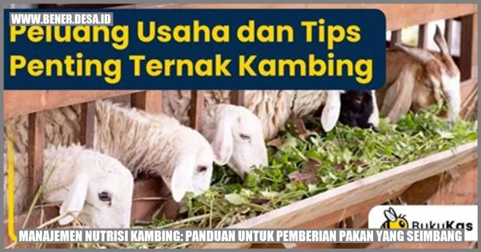 Dampak nutrisi pakan yang tidak seimbang terhadap sistem imun ternak