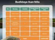 Modal Awal Budidaya Ikan