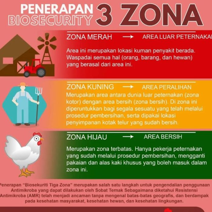 Sistem biosekuriti untuk kesehatan unggas optimal