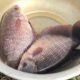 Ikan gurame budidaya cara slideshare