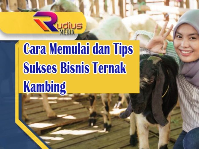 Tips ternak kambing untuk qurban