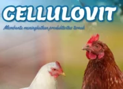 Cellulovit