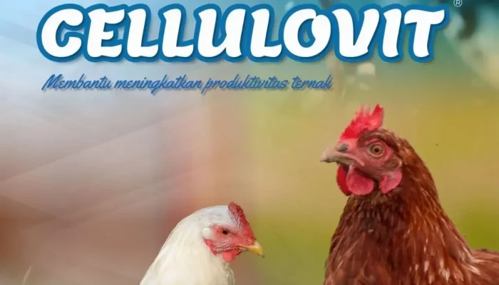 Efek Kekurangan Vitamin E Terhadap Sistem Saraf Ayam