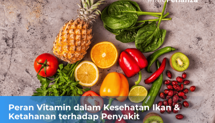 Peran Vitamin Dalam Meningkatkan Kekebalan Unggas