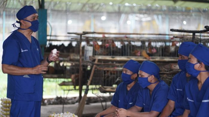 Pencegahan CRD unggas dengan tindakan cepat