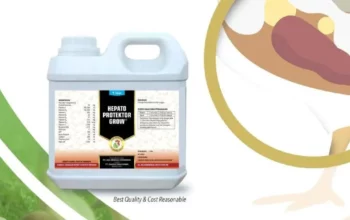Hepatoprotektor Grow: Solusi Optimal untuk Kesehatan Hati dan Performa Unggas