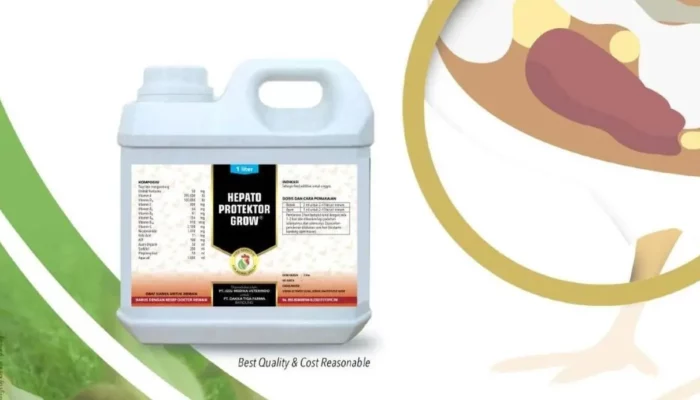 Hepatoprotektor Grow: Solusi Optimal untuk Kesehatan Hati dan Performa Unggas