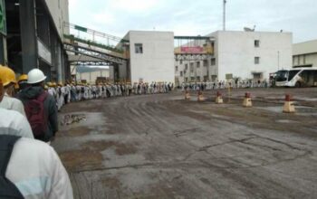 Dampak industrialisasi terhadap produktivitas pertanian