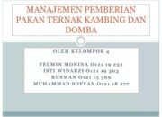 Manajemen Pakan Ternak Kambing
