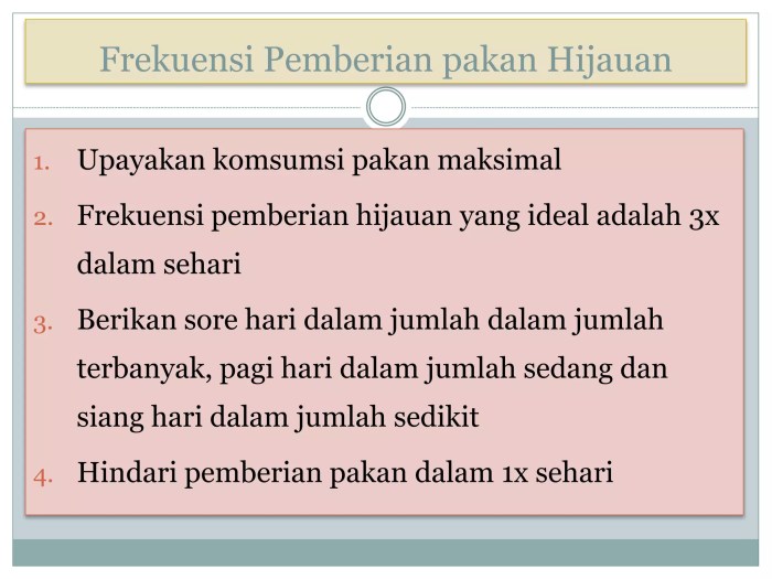 Manajemen pakan ternak kambing