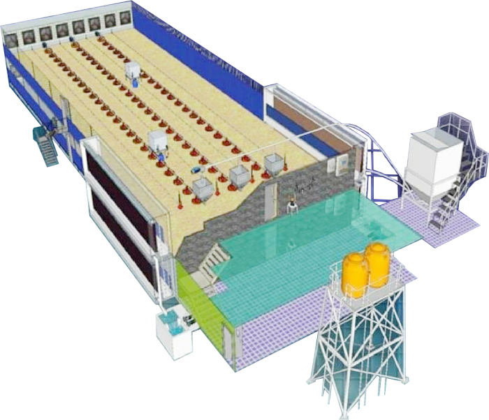Ayam kandang broiler desain Kandang Ayam Broiler Modern