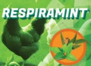 Rekomendasi Suplemen Vitamin Untuk Unggas