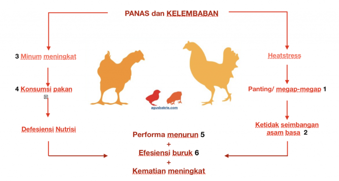 Telur kelembaban suhu ayam menurunnya kualitas terkontrol karena u23 mengontrol penyimpanan ruang hobo myths Pengaruh stres lingkungan terhadap kesehatan ayam