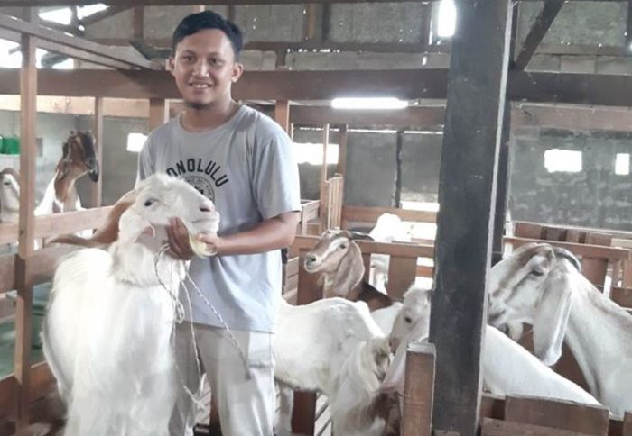 Kisah sukses peternak kambing inspiratif