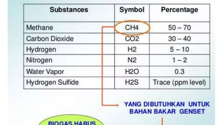 Pemanfaatan Limbah Peternakan Dengan Teknologi Biogas