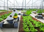 Strategi Produksi Pertanian Berbasis Industri Modern