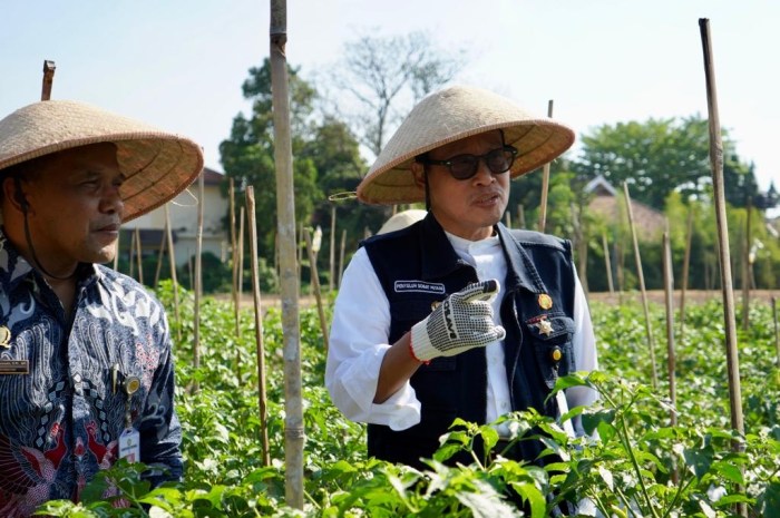 Strategi produksi pertanian berbasis industri modern