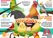 Ciri-Ciri Unggas Sakit Yang Harus Diwaspadai