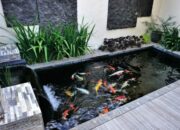 Cara Membuat Kolam Ikan Hias Sederhana
