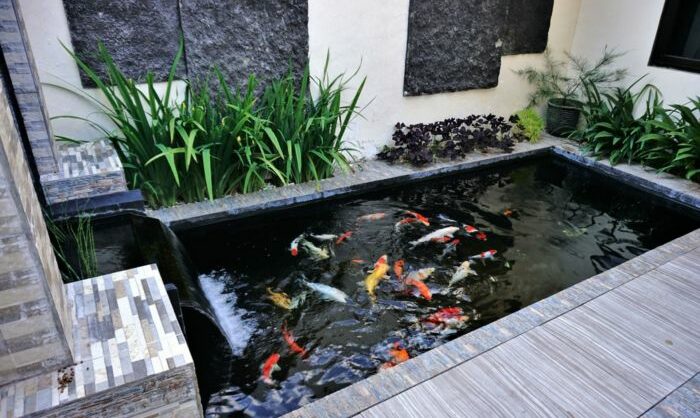 Ikan kolam koi minimalis binatang keramik warna