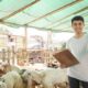 Pelatihan ternak kambing sukses dan modern