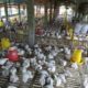 Ternak ayam broiler skala industri
