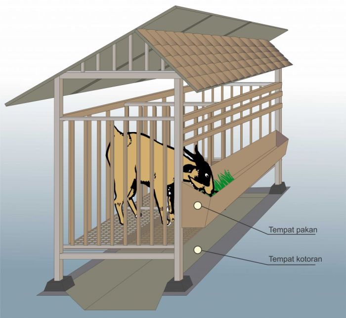 Kandang Kambing Etawa Modern