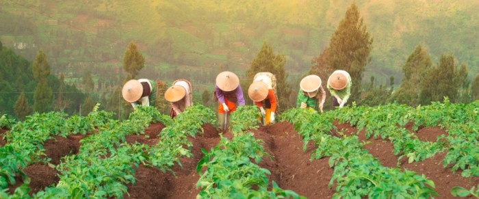 Strategi produksi pertanian berbasis industri modern