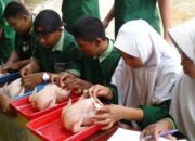 Model Bisnis Ternak Unggas Skala Kecil Dan Menengah